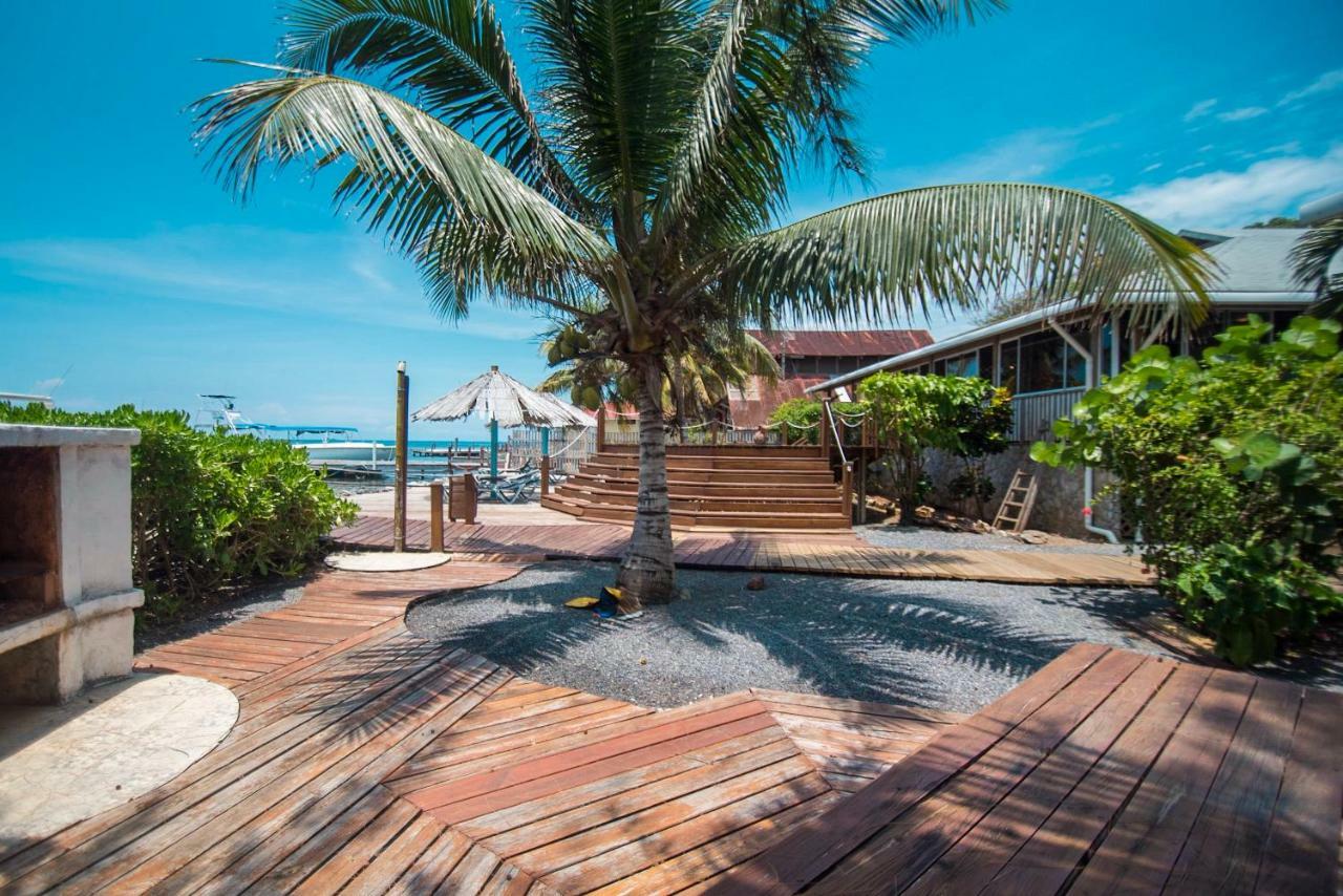 Wikkid Resort Dixon Cove Экстерьер фото